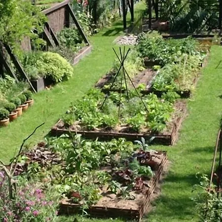 Les De L'escalier 3* Brumath