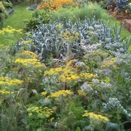 埃斯卡勒之家旅馆 招待所 3*